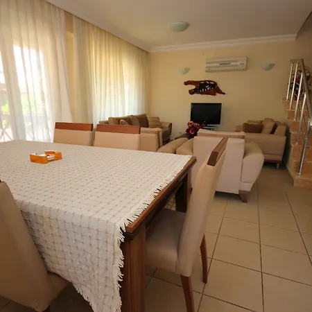 Paradise Town Lisa *