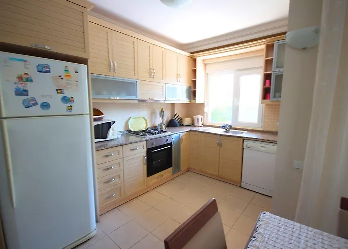 Paradise Town Lisa *